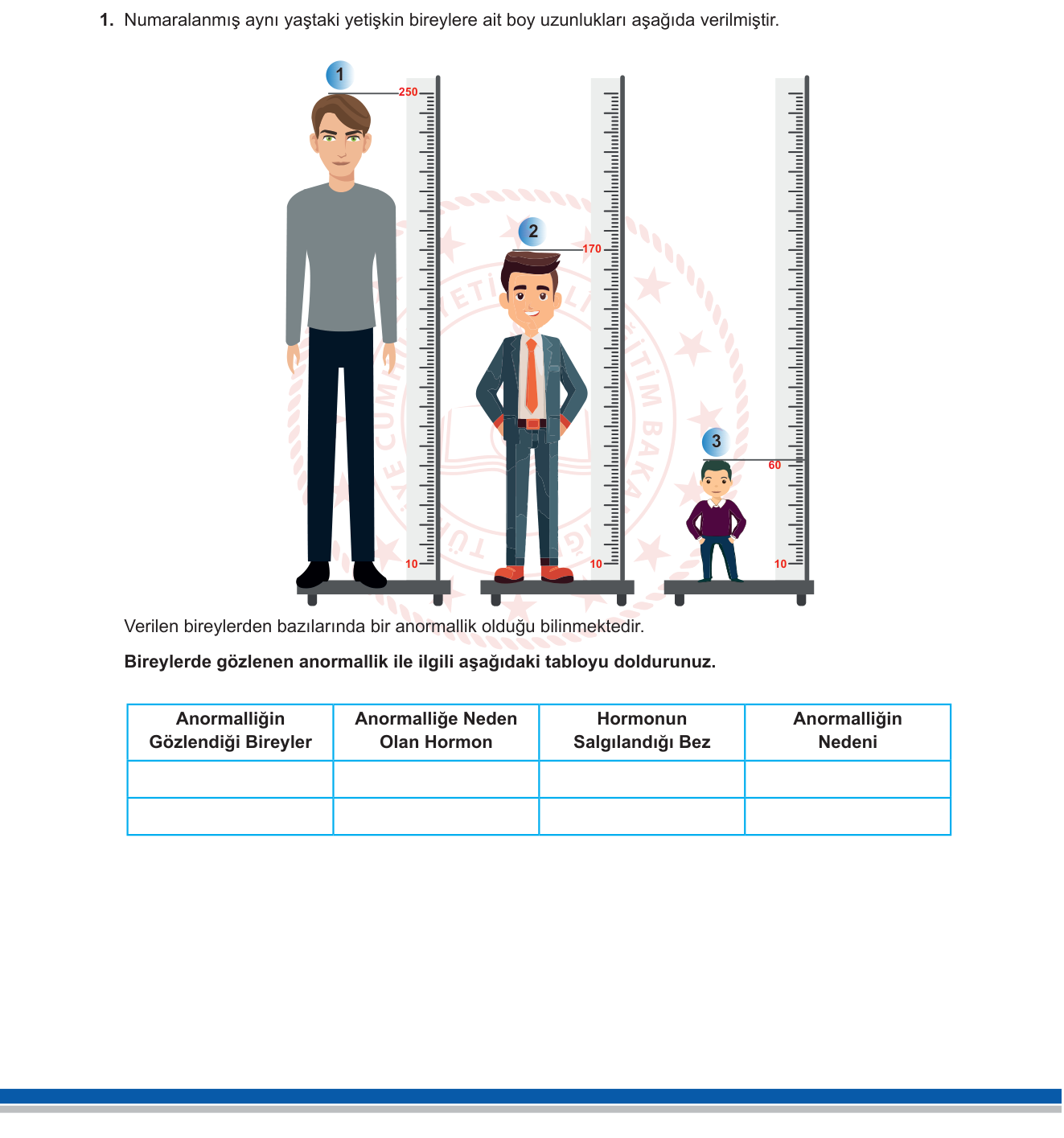 Fen Bilimleri sorusu 1 — Endokrin Sistem — Büyüme Hormonu Anormallikleri (Devlik ve Hipofiz Cüceliği) / 6. Sınıf Fen Bilimleri: Vücudumuzda Sistemler